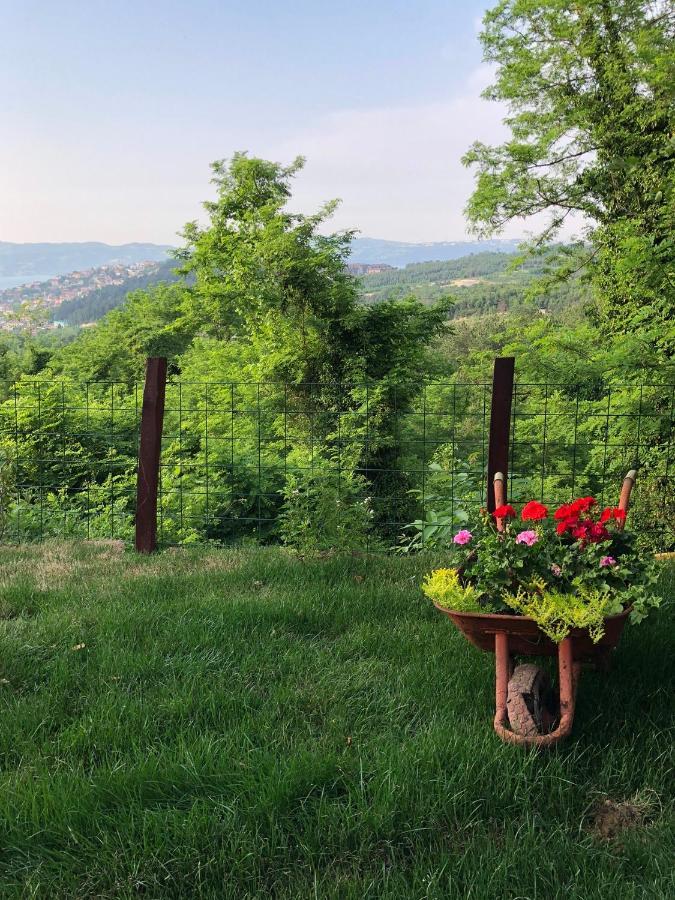 Happy Hobbit ,2 Room Jakuzi, Lake And Forest View, Fireplace ,Six Bad Sapanca Zewnętrze zdjęcie